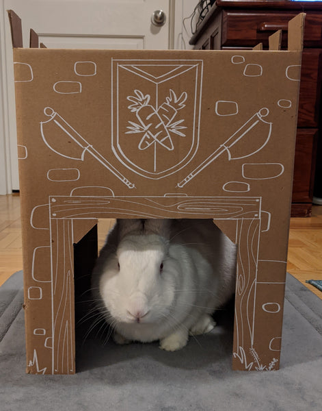 Cardboard Bunny Tower and Playhouse by Bunny Bliss – BunnyBliss